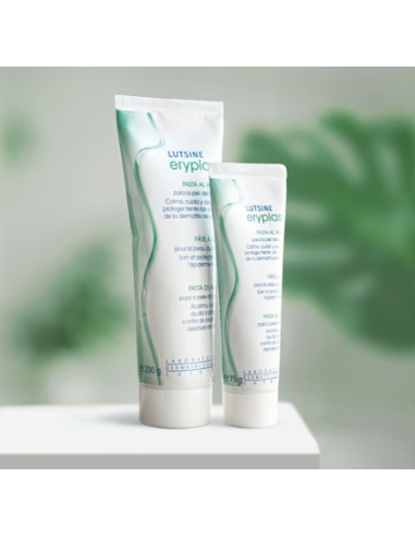 E45 LUTSINE ERYPLAST PASTA AL AGUA 200 G